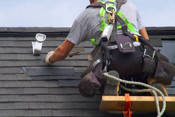 Best Metal Roofing Contractor  in Woodward, IA