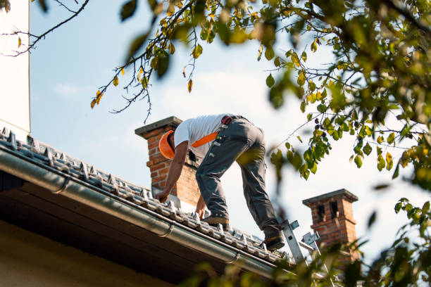 Best Roof Repair Services  in Woodward, IA