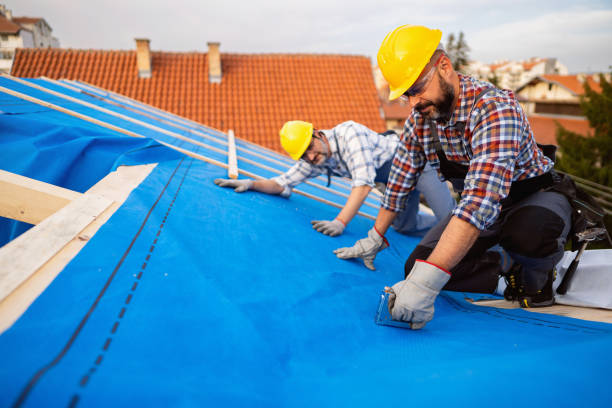 Best Best Roofing Contractors  in Woodward, IA