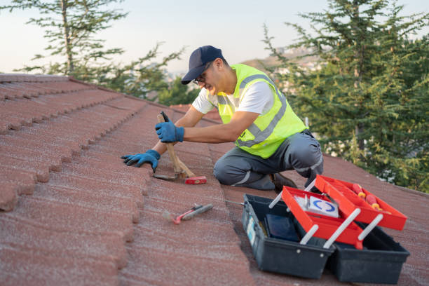 Best Affordable Roofing Company  in Woodward, IA