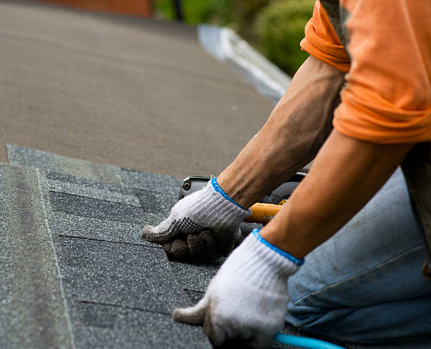 Best Roof Gutter Cleaning  in Woodward, IA