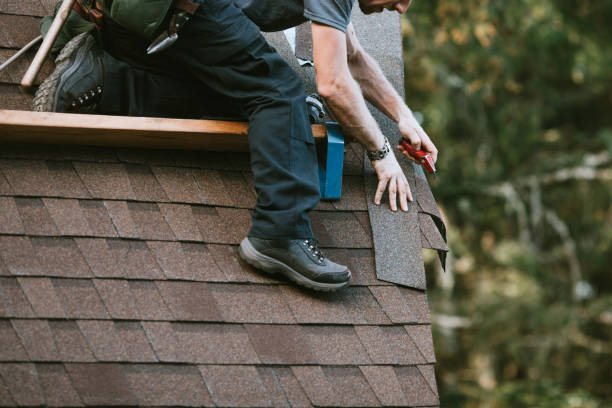 Best Commercial Roofing Services  in Woodward, IA